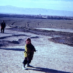 00000064 IMG 0005